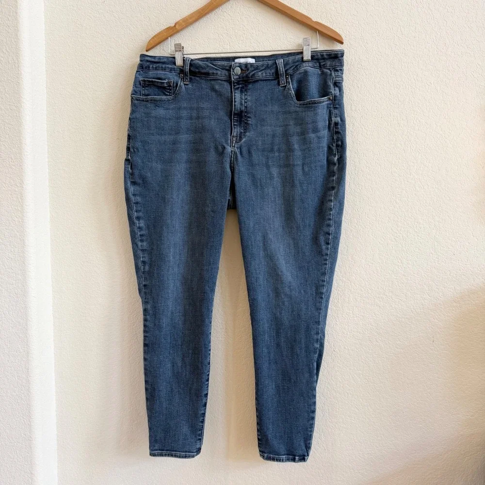 Pistola Audrey High Rise Skinny Jeans Medium Wash‎ Blue 18W P67317MTW-MDY